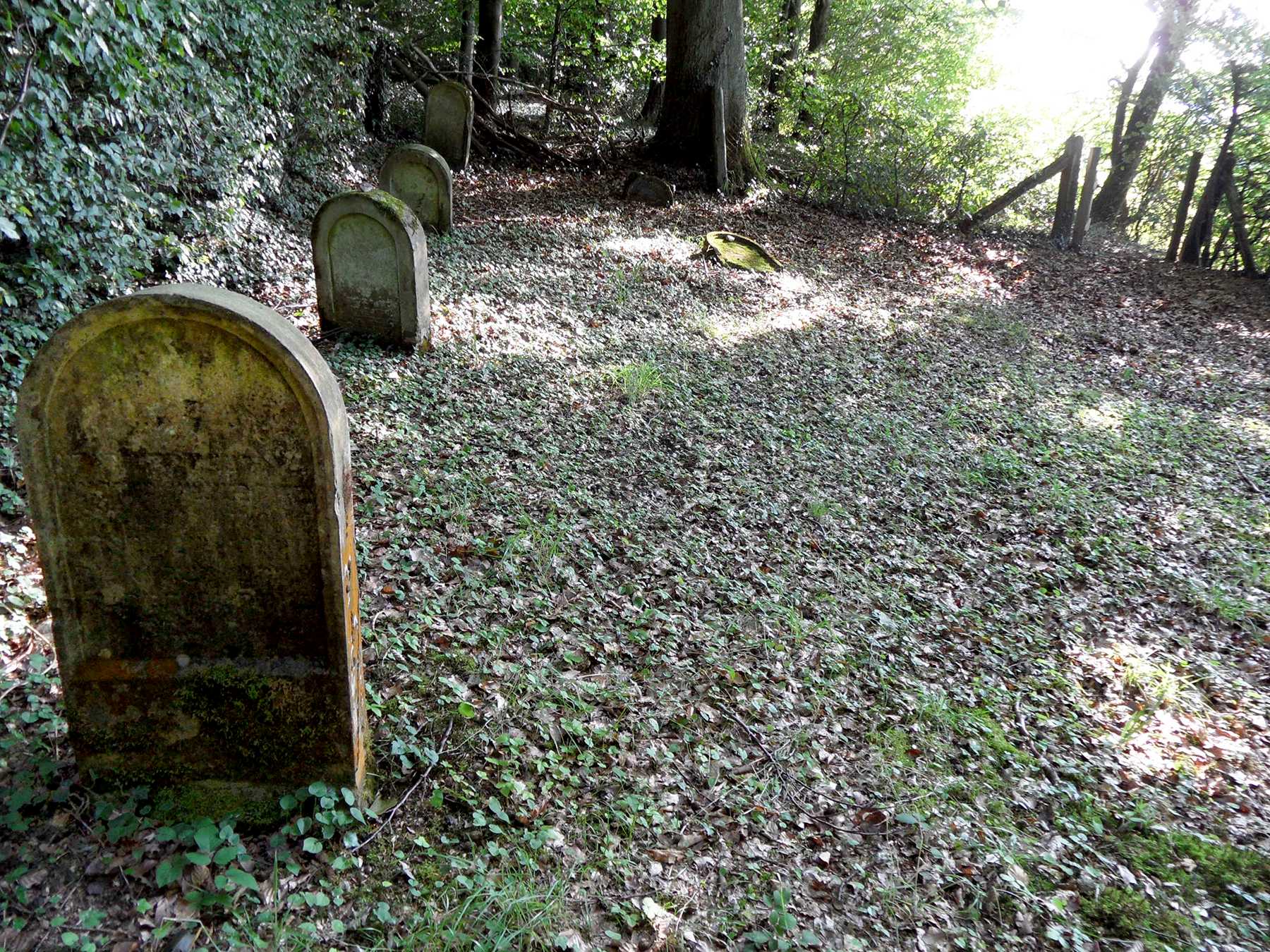 Der jüdische Friedhof in Frücht (VG Bad Ems, RheinLahnKreis)